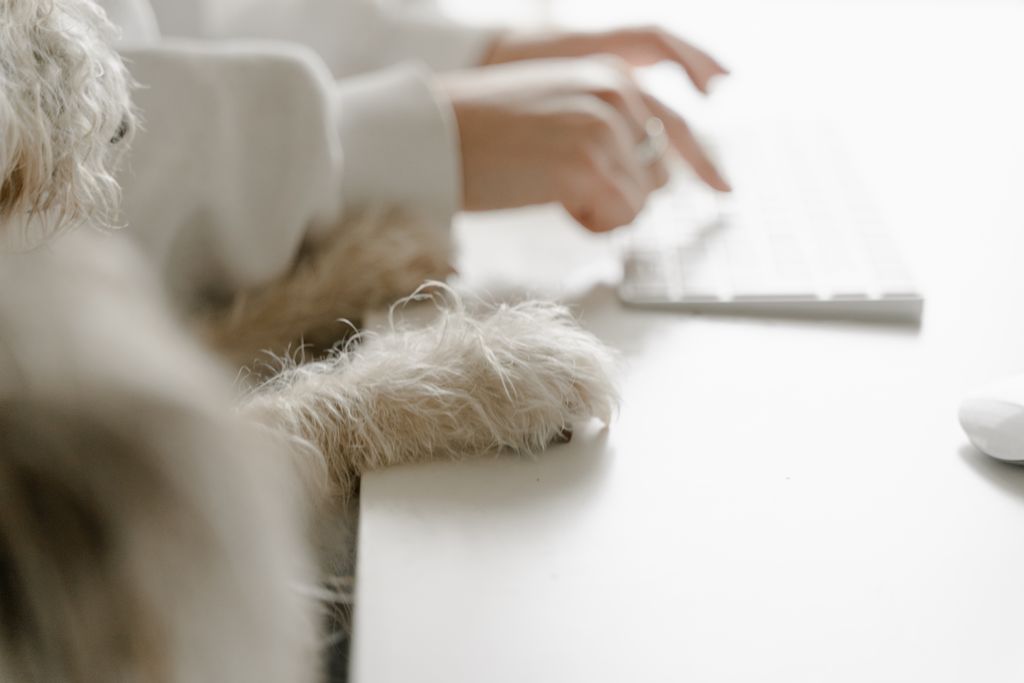 A human and a shaggy dog working together at a desk, a blend of companionship and productivity.
