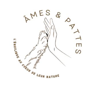 Âmes & Pattes